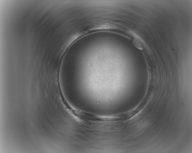 X0000066941329200603241132