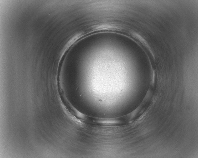 X0000066941330200603241132