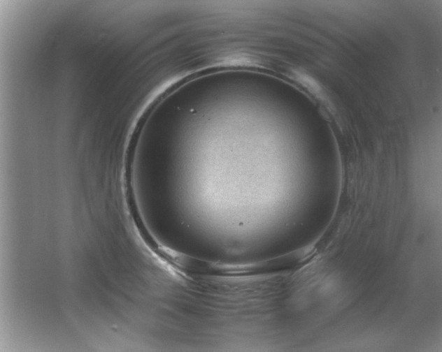 X0000066941331200603241132