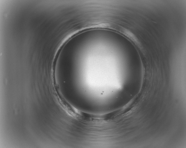 X0000066941332200603241132