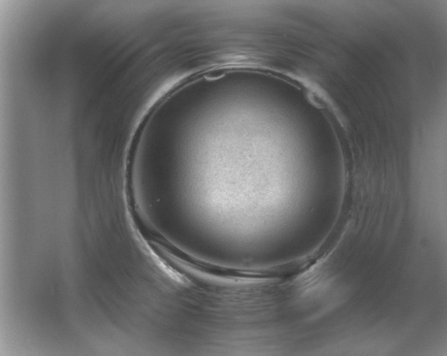 X0000066941333200603241132