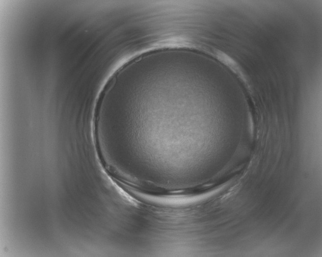 X0000066941334200603241132