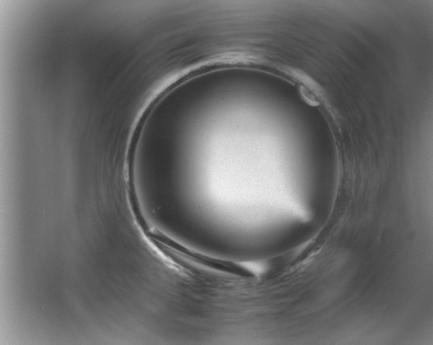 X0000066941335200603241132