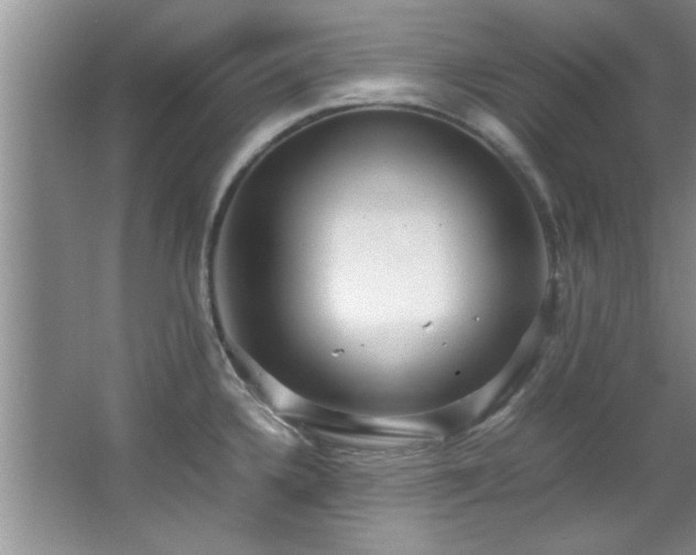 X0000066941336200603241132