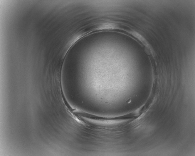 X0000066941337200603241132