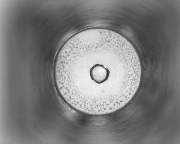 X0000066941338200603241132