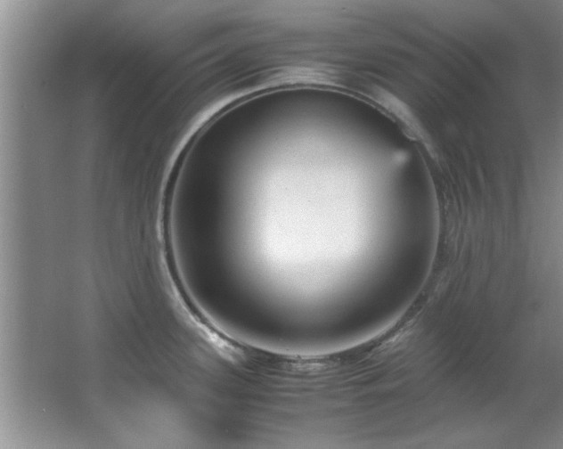 X0000066941339200603241132