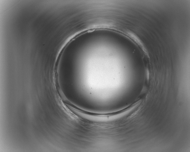 X0000066941340200603241132