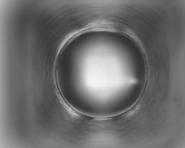 X0000066941344200603241132