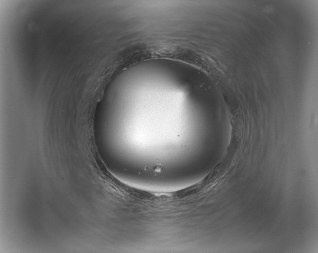 X0000066941345200603241131