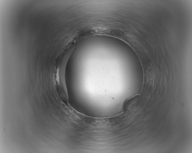 X0000066941346200603241131