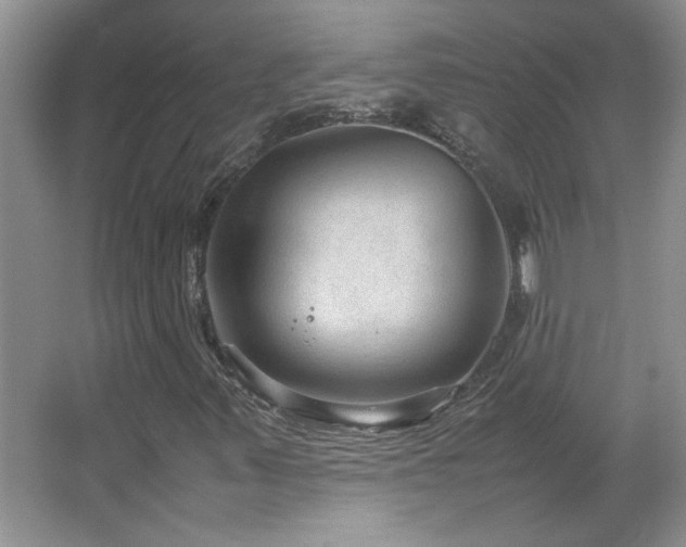 X0000066941347200603241131