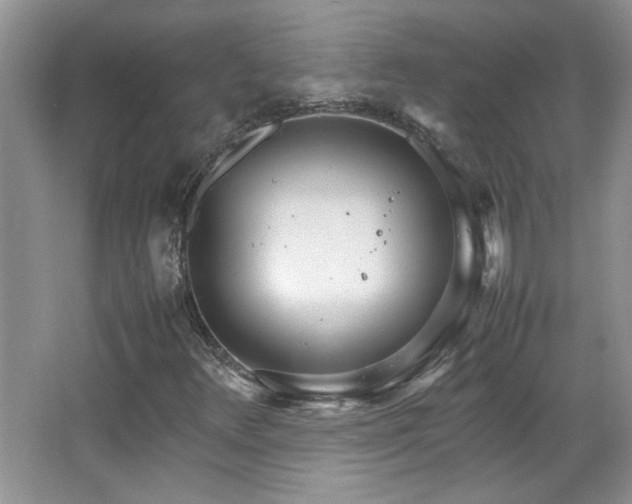 X0000066941348200603241131