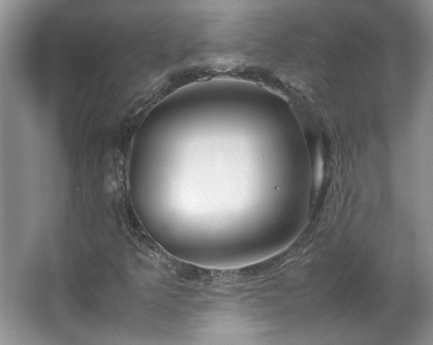 X0000066941349200603241131