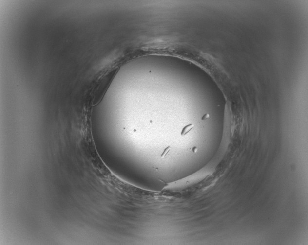 X0000066941350200603241131