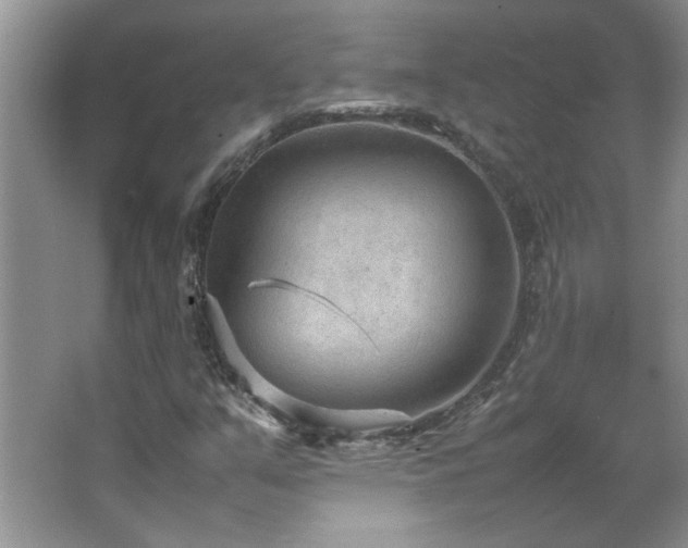 X0000066941351200603241131