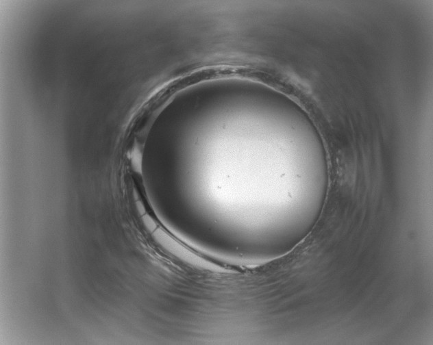 X0000066941352200603241131