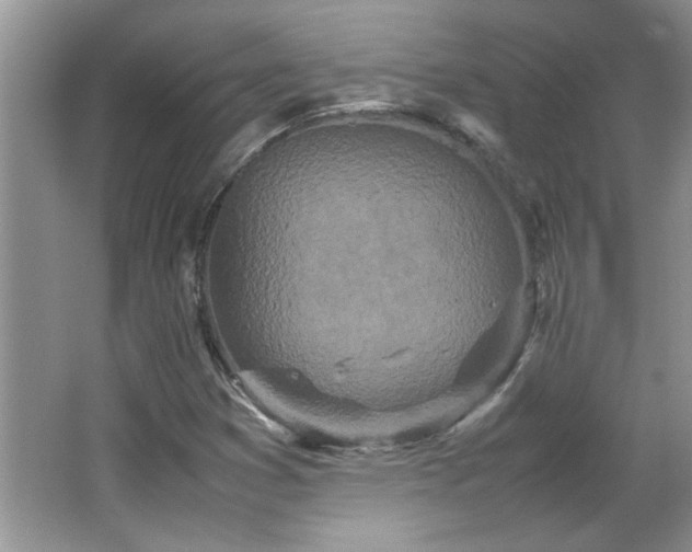 X0000066941353200603241131