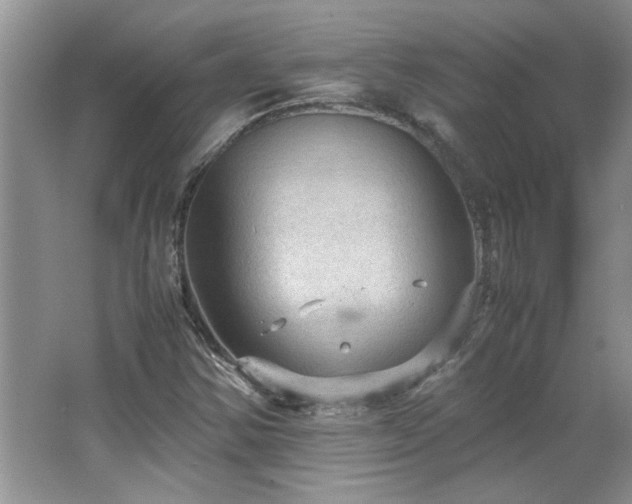 X0000066941354200603241131