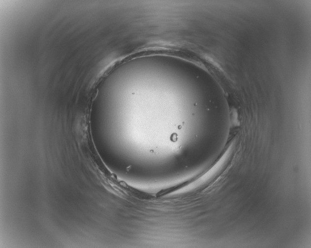 X0000066941355200603241131