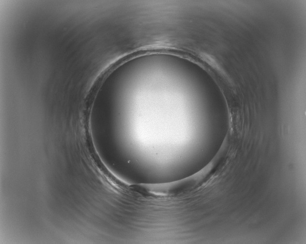 X0000066941356200603241131