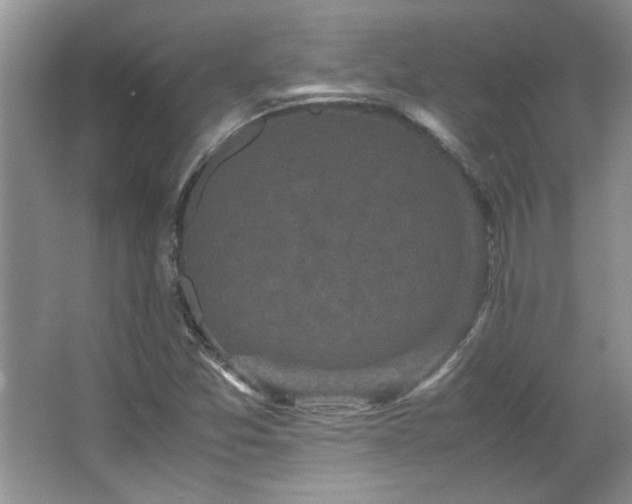 X0000066941357200603241131