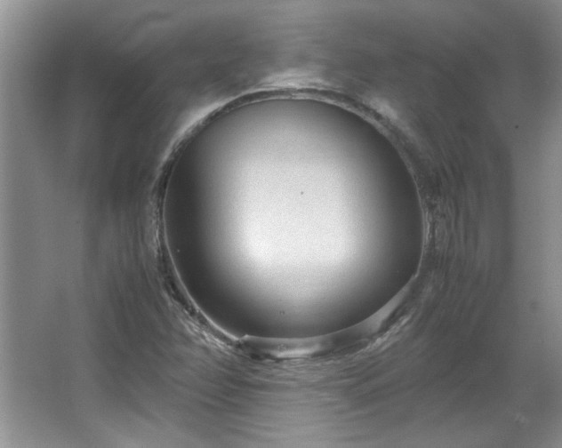 X0000066941358200603241131