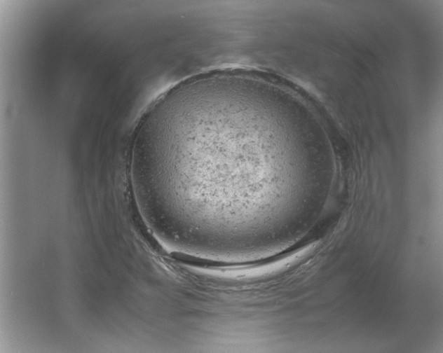 X0000066941359200603241131