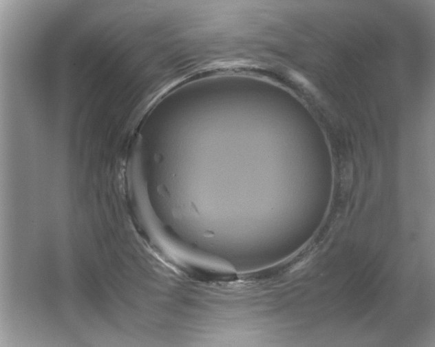 X0000066941361200603241131