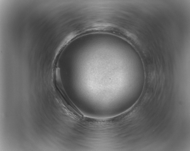 X0000066941362200603241131