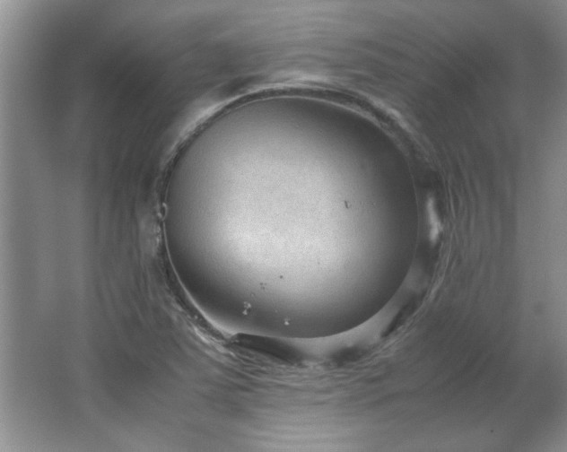 X0000066941363200603241131