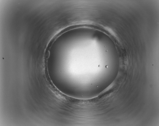 X0000066941364200603241131