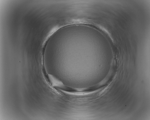 X0000066941365200603241131