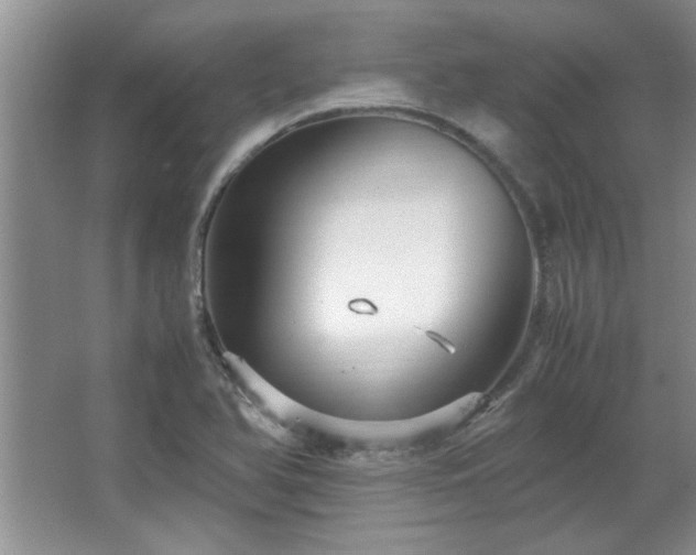 X0000066941366200603241131