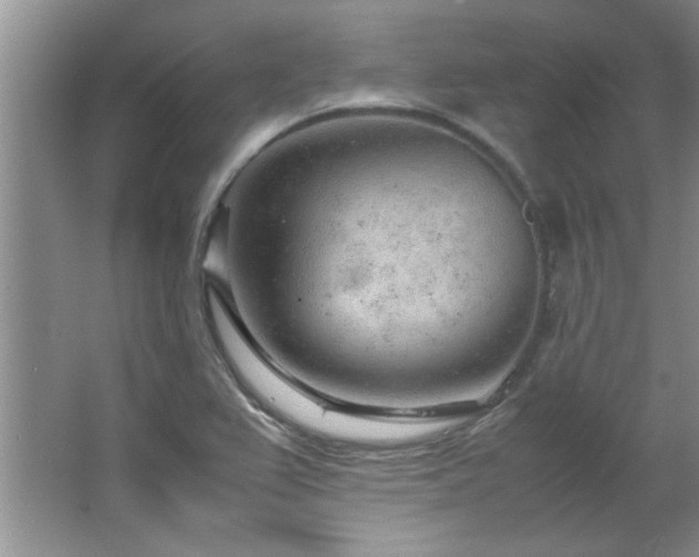 X0000066941367200603241131