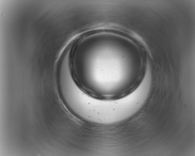 X0000066941368200603241131