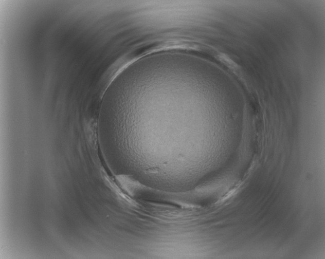 X0000066941369200603241131