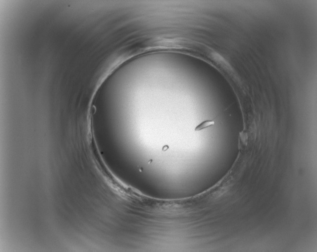 X0000066941370200603241131