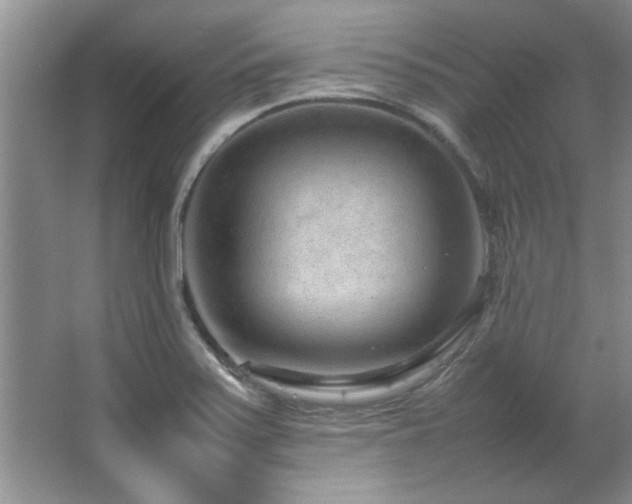 X0000066941371200603241131