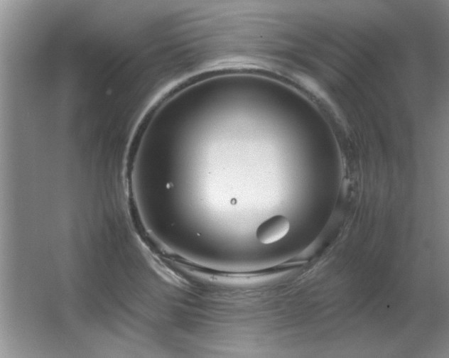 X0000066941372200603241131