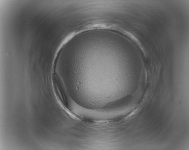 X0000066941373200603241131