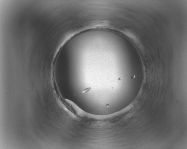 X0000066941374200603241131