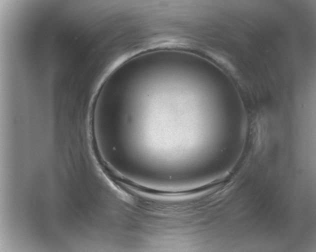 X0000066941375200603241131