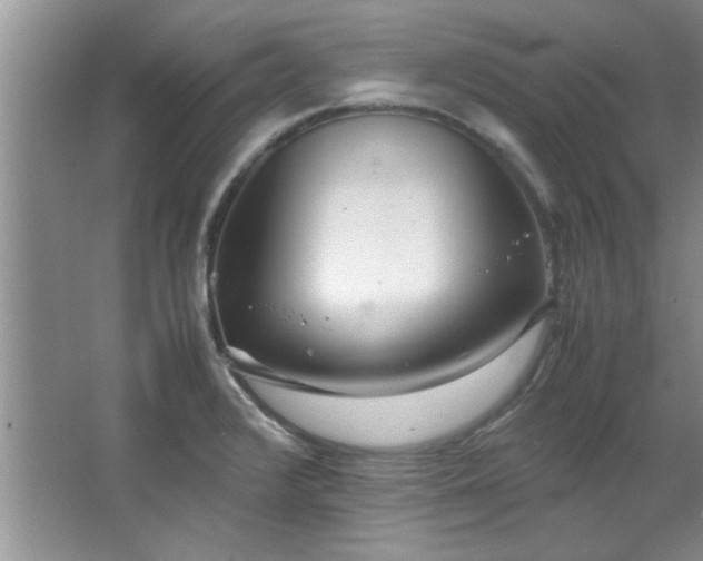 X0000066941376200603241131