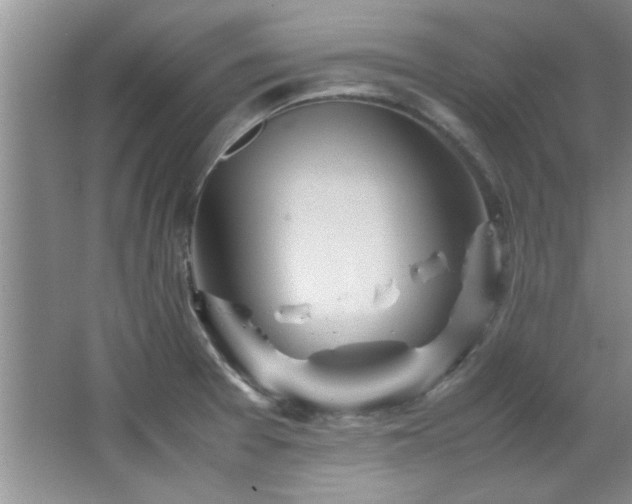 X0000066941377200603241131