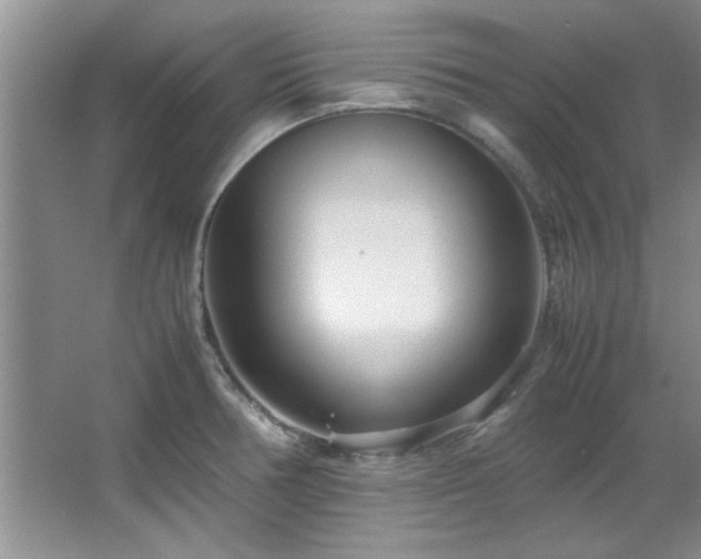 X0000066941378200603241131