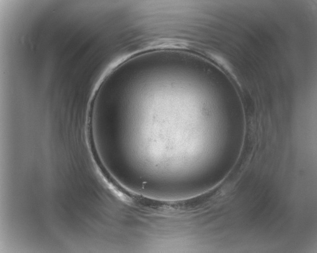 X0000066941379200603241131