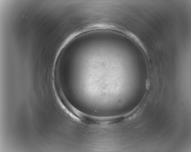 X0000066941381200603241131