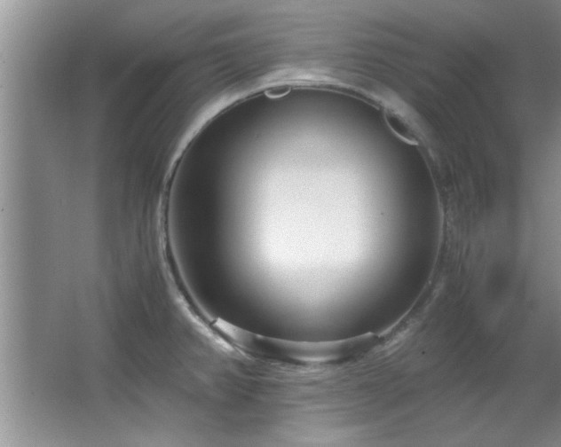 X0000066941382200603241131