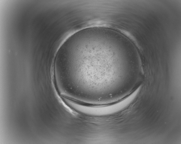 X0000066941383200603241131